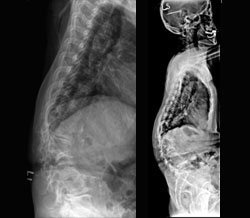 ����, �����ȏ�